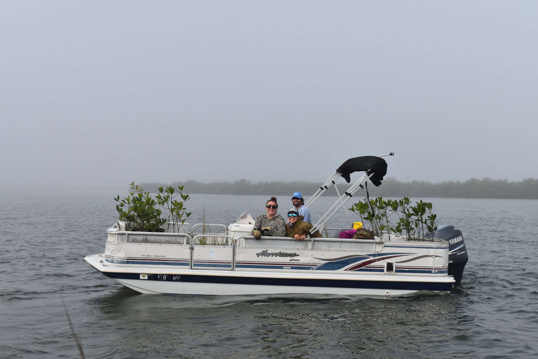 shoreline-restoration