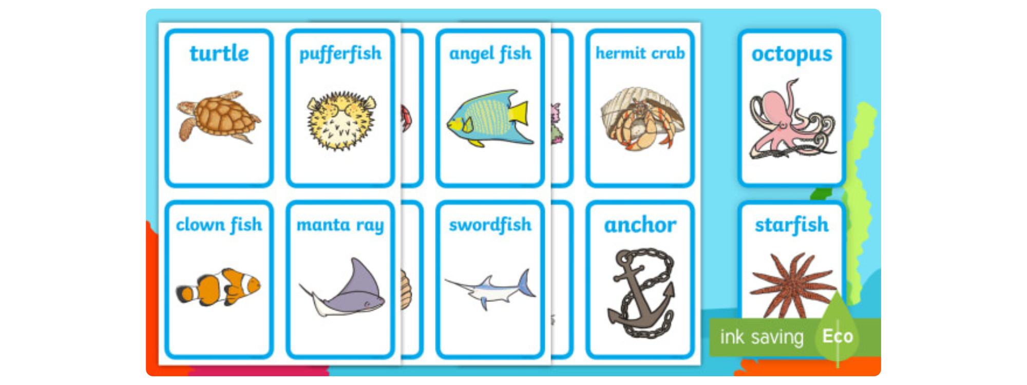 Flash Card Flash Card