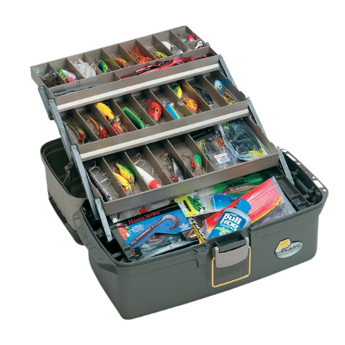 Your paragraph text (4)